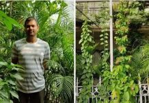How This Engineer Turned His Home Into Mini Jungle By Planting Over 100 Fruits & Veggies