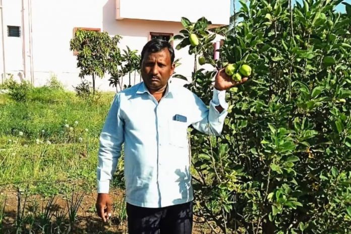 Against All Odds: Maharashtra Farmer Cultivates Miracle Apples in Challenging Climate